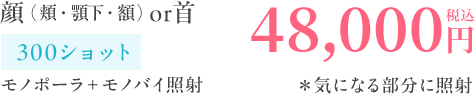顔（頬・顎下・額）or首48,000円