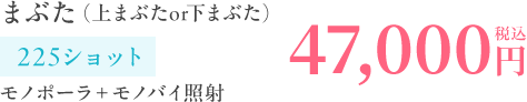 まぶた（上まぶたor下まぶた）47,000円