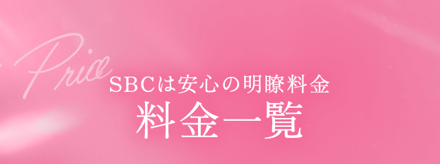 Price SBCは安心の明瞭料金 料金一覧