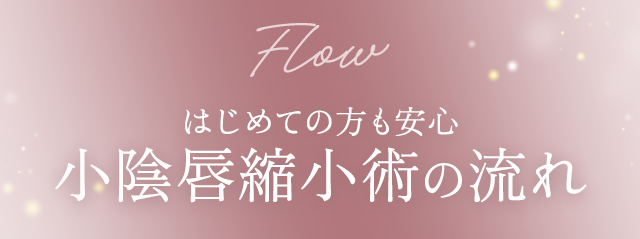 Flow はじめての方も安心 小陰唇縮小術の流れ