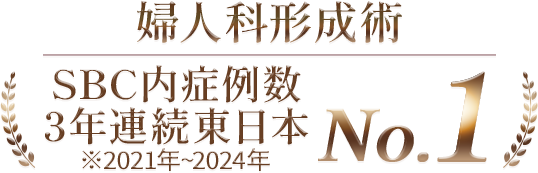 SBC内症例数3年連続東日本No.1