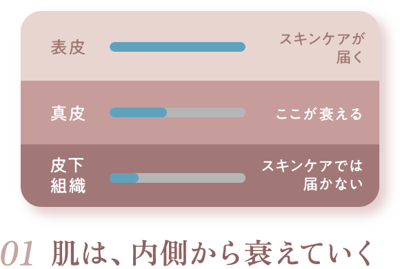 01 肌は、内側から衰えていく