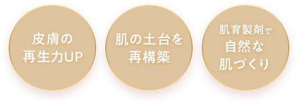 皮膚の再生力UP 肌の土台を再構築 肌育製剤で自然な肌づくり