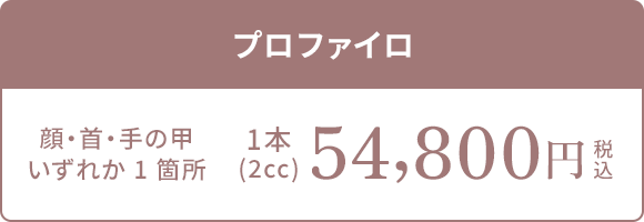 プロファイロ
