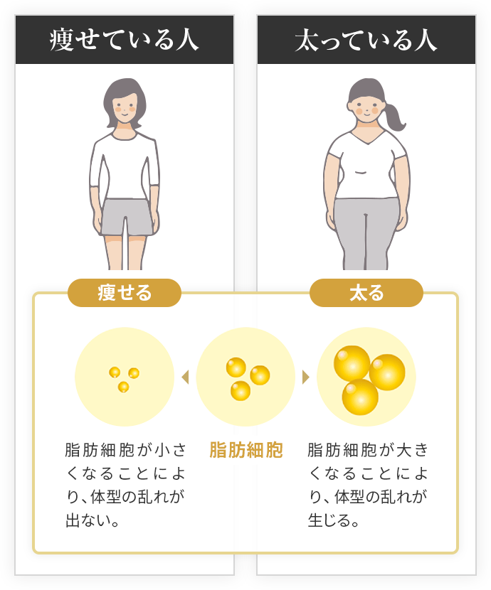 脂肪吸引なら一度で確実に痩せる｜湘南美容クリニック 渋谷院