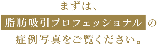 まずは、 脂肪吸引プロフェッショナル の 症例写真をご覧ください。