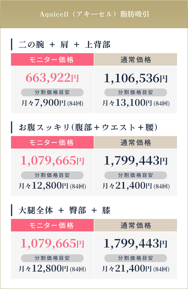 Aquicell（アキーセル）脂肪吸引||二の腕 ＋ 肩 ＋ 上背部:モニター価格663,922円 分割価格目安月々7,900円(84回)/通常価格1,106,536円 分割価格目安月々13,100円(84回)|お腹スッキリ(腹部＋ウエスト＋腰):モニター価格1,079,665円 分割価格目安月々12,800円(84回)/通常価格1,799,443円 分割価格目安月々21,400円(84回)|大腿全体 ＋ 臀部 ＋ 膝:モニター価格1,079,665円 分割価格目安月々12,800円(84回)/通常価格1,799,443円 分割価格目安月々21,400円(84回)