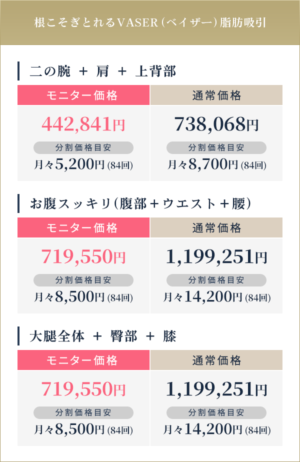 根こそぎとれるVASER（ベイザー）脂肪吸引||二の腕 ＋ 肩 ＋ 上背部:モニター価格442,841円 分割価格目安月々5,200円(84回)/通常価格738,068円 分割価格目安月々8,700円(84回)|お腹スッキリ(腹部＋ウエスト＋腰):モニター価格719,550円 分割価格目安月々8,500円(84回)/通常価格1,199,251円 分割価格目安月々14,200円(84回)|大腿全体 ＋ 臀部 ＋ 膝:モニター価格719,550円 分割価格目安月々8,500円(84回)/通常価格1,199,251円 分割価格目安月々14,200円(84回)