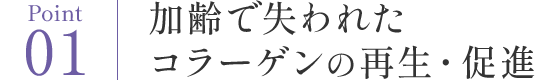 Point01 加齢で失われたコラーゲンの再生・促進