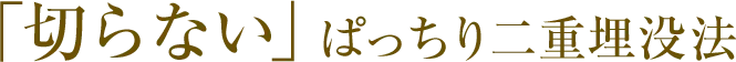切らないぱっちり二重埋没法