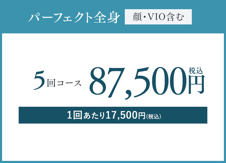 パーフェクト全身 （顔・VIO含む）