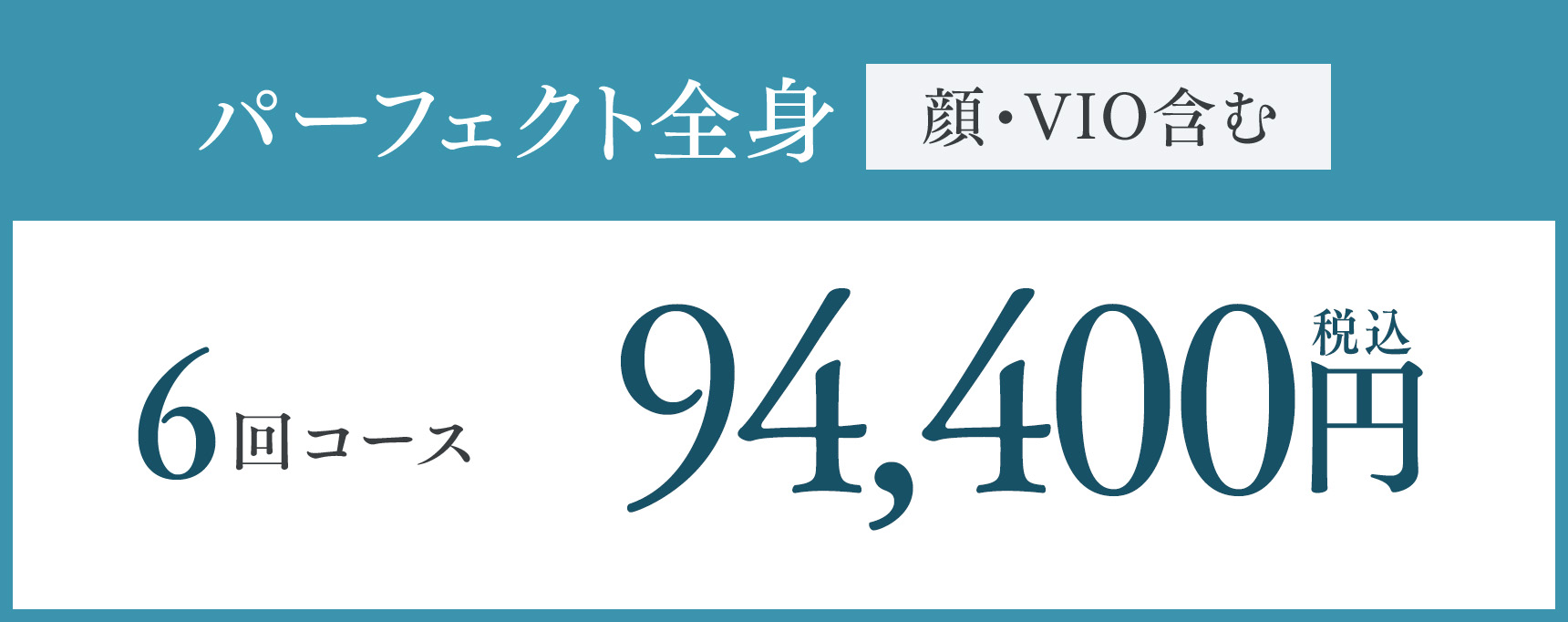 パーフェクト全身 （顔・VIO含む）