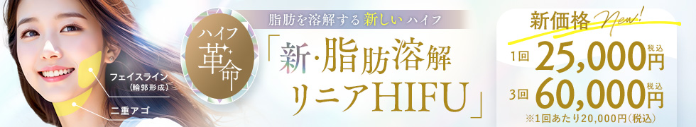 新・脂肪溶解リニアハイフ