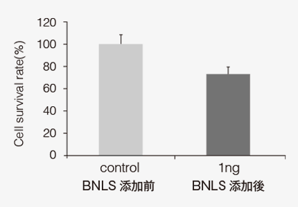 BNLSによる脂肪細胞の割合変化