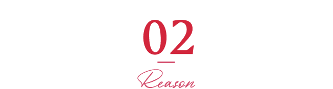 02 Reason