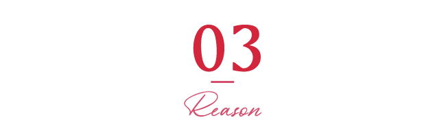 03 Reason